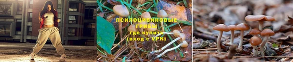 герыч Бронницы